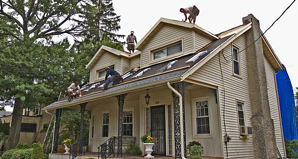 Best New Roof Installation  in Ball Ground, GA