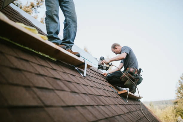 Best Roof Leak Repair  in Ball Ground, GA